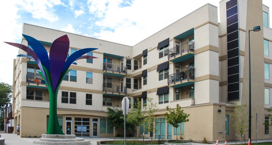 DHA - Mariposa