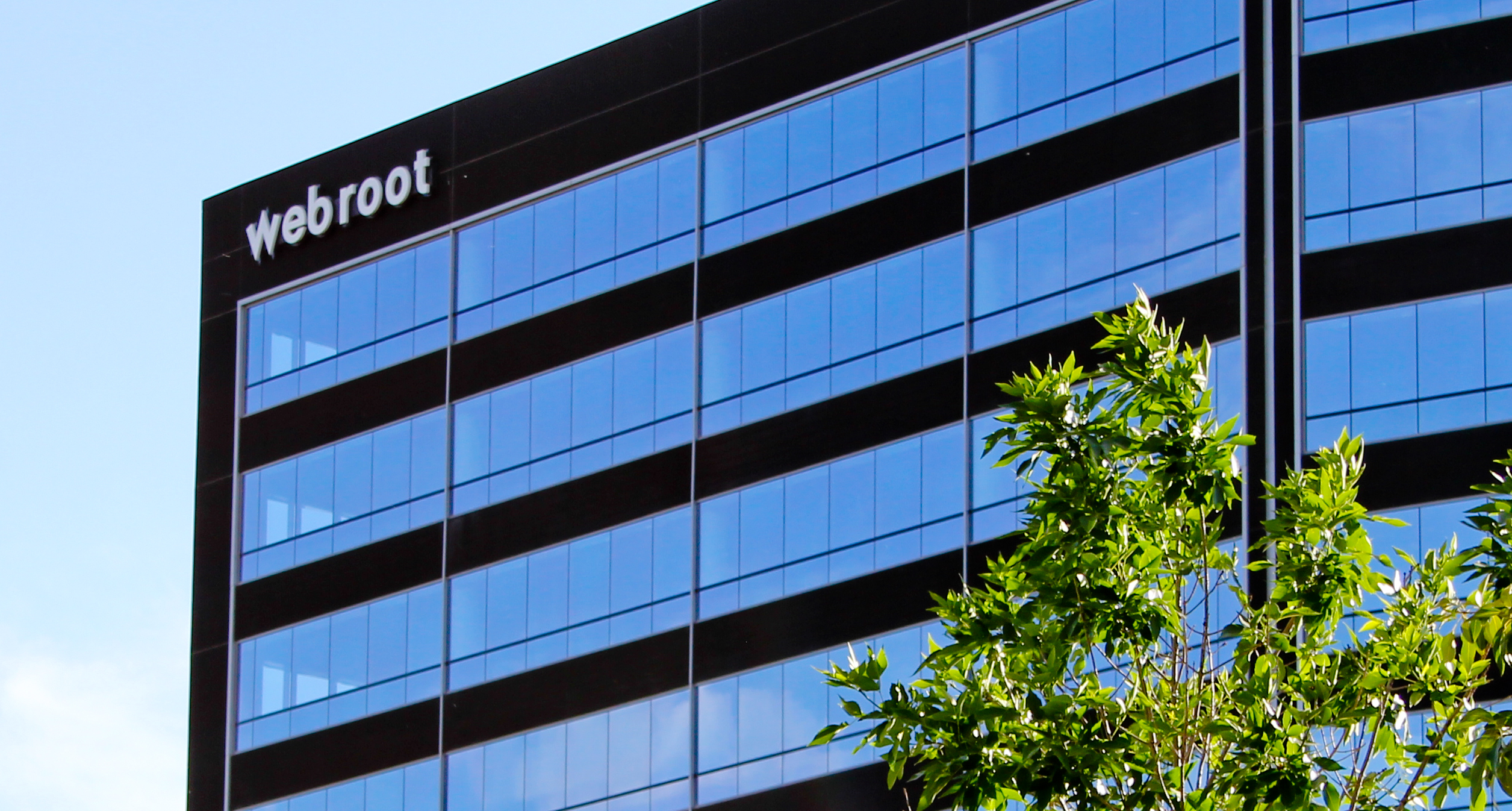 Webroot